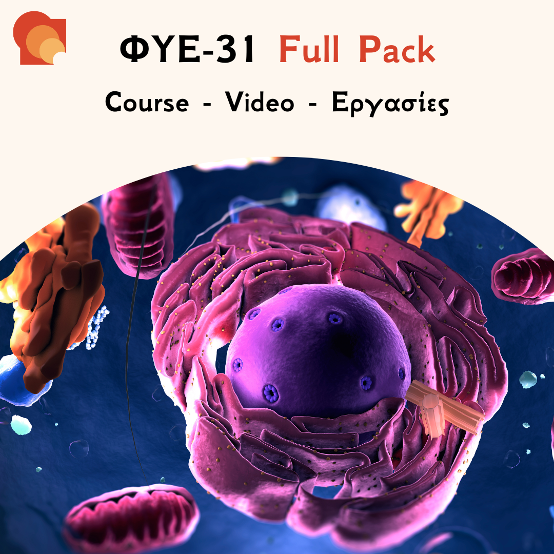 ΦΥΕ 31 Full pack