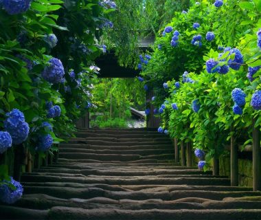 nature-wallpapers-hd-30