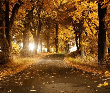 wallpaper.wiki-Nature-autumn-1920x1080-HD-Images-PIC-WPE0014150